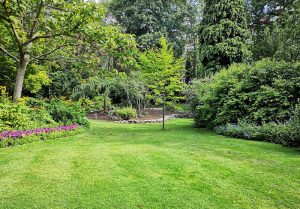 Optimiser l'expérience du jardin à Saint-Priest-Ligoure